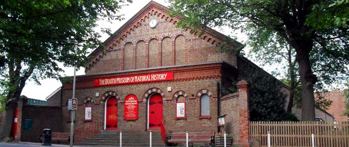 Booth Museum