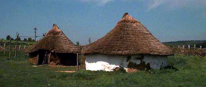 Butser Ancient Farm
