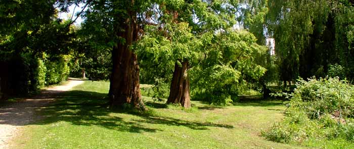 Coy Pond Gardens