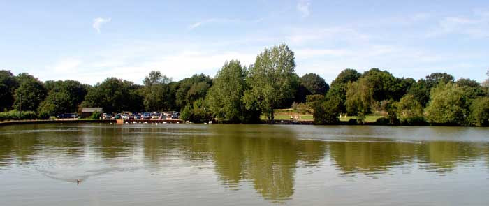 Earlswood Common