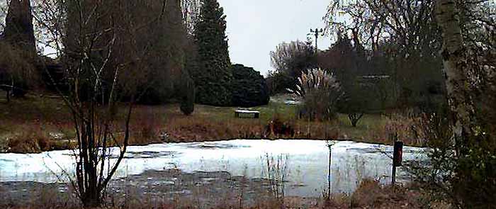 Furzey Gardens