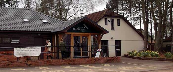 The Hawk Conservancy