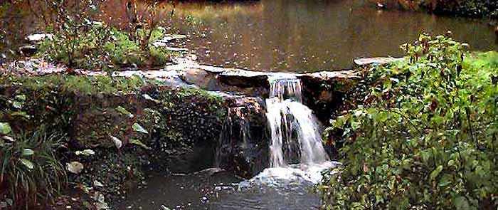 Holly Hill Woodland Park