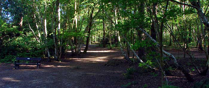 Lightwater Country Park