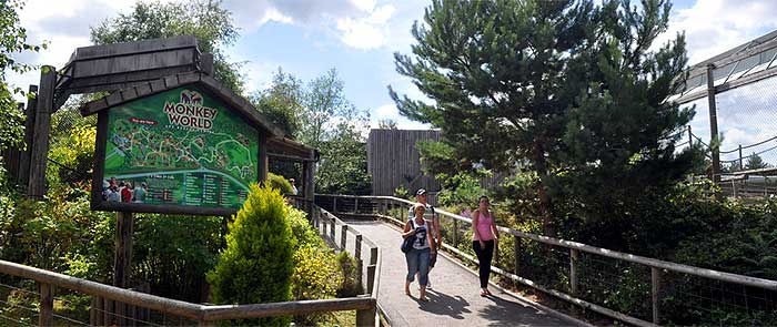 Monkey World