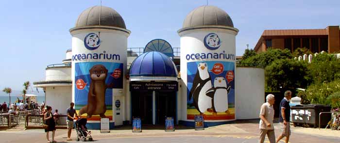 Oceanarium