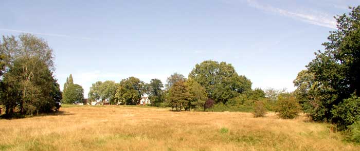 Redhill Common