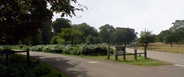 Richmond Park