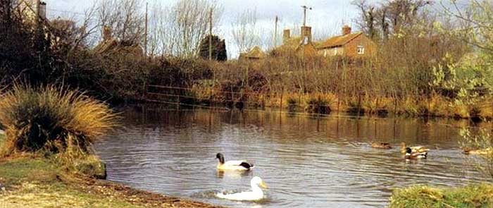 Upper Farm