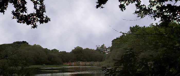 Upton Country Park