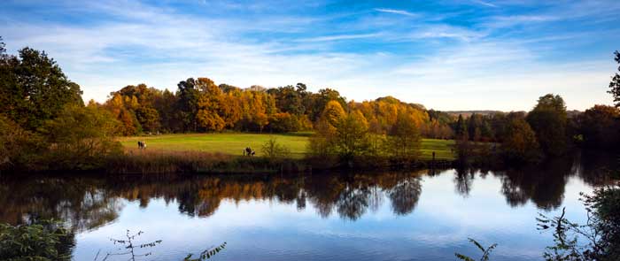 Winkworth Arboretum